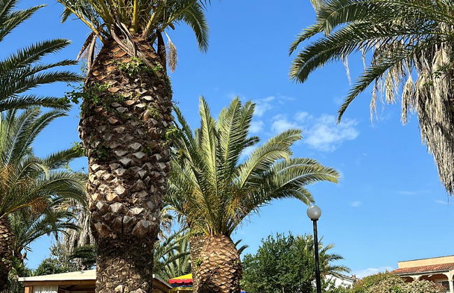 ABC Sweet Home - Foto 5