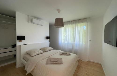 Olivier du ciel ODC - Photo 7