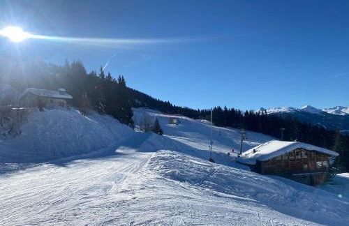 Les ARCS 1600 - SKI AUX PIEDS - MAGNIFIQUE DUPLEX 12 PERSONNES - Foto 54