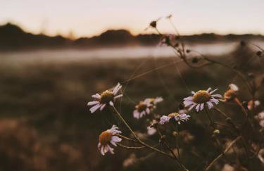 Za Lasem Nad Wodą - Foto 33