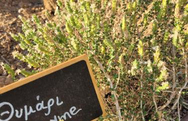 Villa Penelope - Foto 56