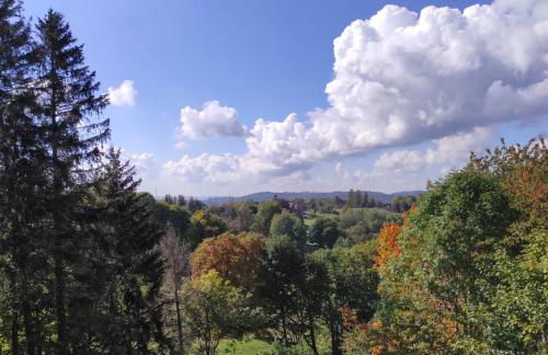 FeWo Harzer Weitblick, bis 2 Hunde Willkommen, W-Lan, 2x Smart TV, DTV 4 Sterne, 4 Pfoten - Foto 15