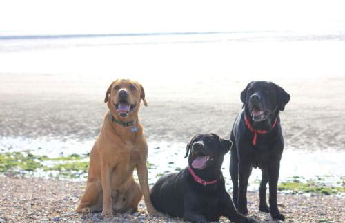 Hunny Hideaway, Hunstanton - dog friendly haven by the sea - Foto 26