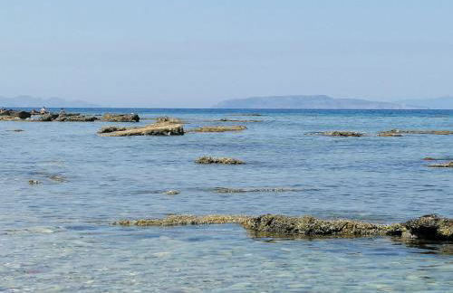 Sole di Sicilia - Foto 8