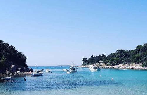 Villa Matovica - Photo 6