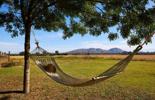 Can Pujol - Casitas de Turismo Rural en el Baix Empordà - Foto 10