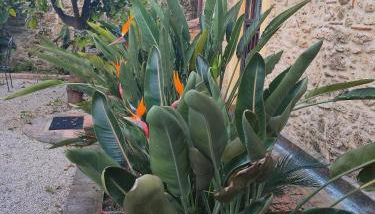 Il Giardino di Athena 1 - Foto 5