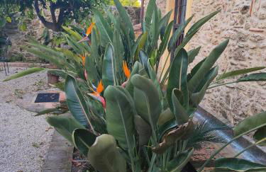 Il Giardino di Athena 1 - Foto 5