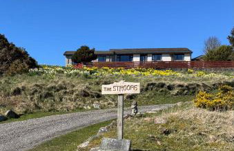 The Stroops - Foto 1