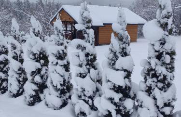 Mały Domek DOMARKA w BIESZCZADACH - Foto 43