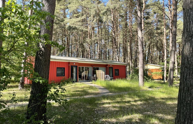 Silz am Fleesensee - Foto 10