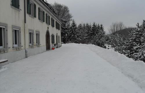 Maison familiale à Orbey, 3 chambres, parking privé, espace vert, jeux pour enfants - FR-1-744-26 - Foto 13