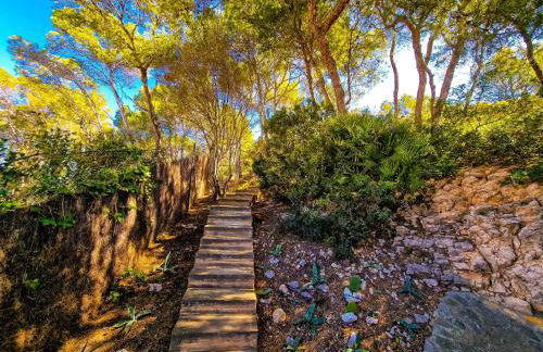 Villa Cala Llamp - Foto 44