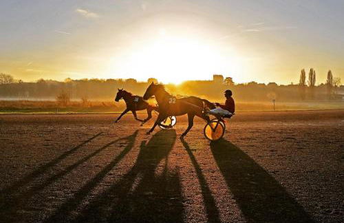 Logis Decaens - Photo 13