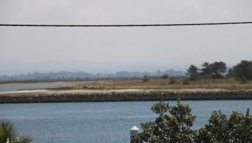 Puro São Jacinto - Foto 4