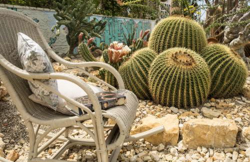 Garden Cactus - Foto 21