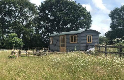 Whittlewood Shepherd's Hut in Silverstone, Cosy, Rural, Views - Photo 7
