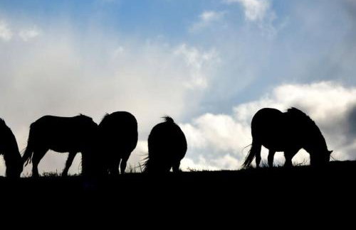 Nest Holiday Hideaway Dove Cottage-Beautiful Location in the Long Mynd Area of Outstanding Natural Beauty-WHIRLPOOL JACUZZI BATHS!! - Foto 55