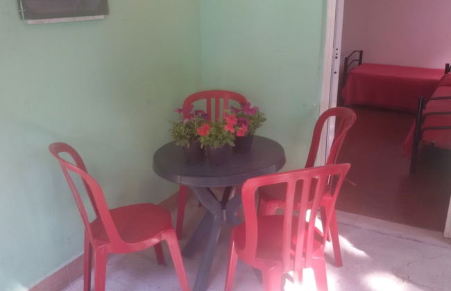 Parco delle Viole - Foto 13