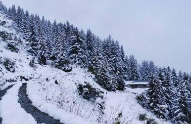 Appartement de 80m² plein sud entièrement rénové - Foto 32