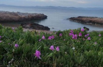 Urbi Garden - Foto 14