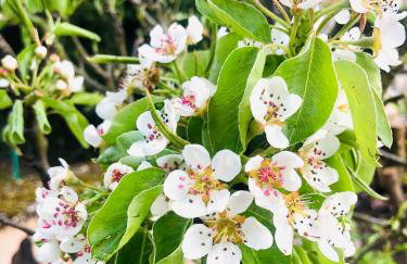Ferienwohnung Feldmann - Foto 22