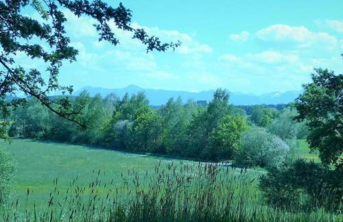 Apartment Spiegl by Interhome - Foto 20