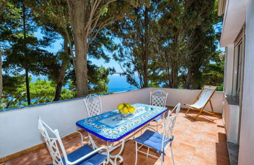 Casa Schiattarella Capri - Foto 40