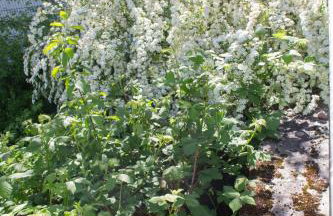 Wonderful Renovated Apartment With Great Location - Foto 30