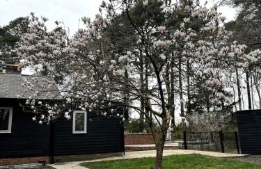 Tranquil home at Westerlands Farm, Sleeps 7, The South Downs - Foto 46