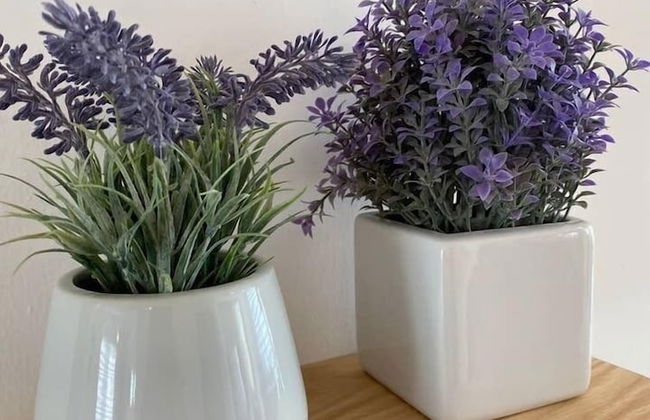 Vive Como en tu Casa Frente a Antea Vigilancia 24H - Foto 21