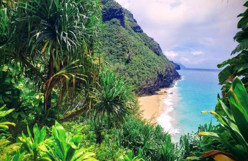 Poipu Makai Villas C1 - Foto 56