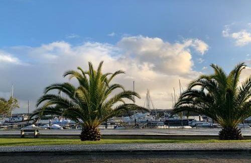 Le Domaine de l’Orangeraie - Foto 49