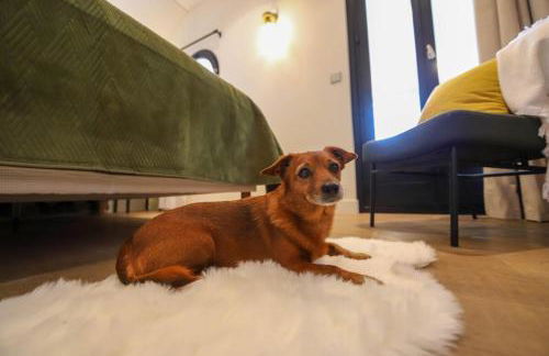 Chez Maminou - 8 couchages parking proche centre - Photo 22