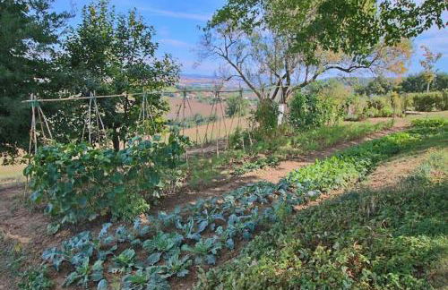 il Montale Montelabbate - Photo 36