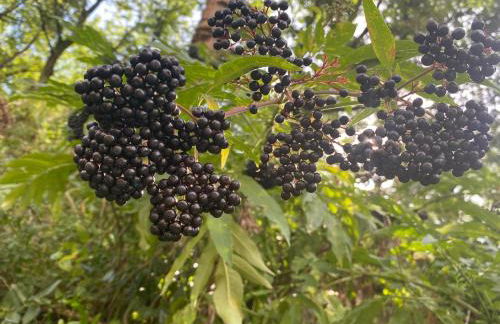 Precioso apartamento con vistas montaña o rio - Foto 69