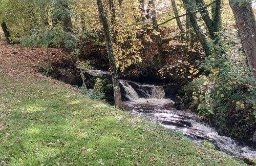 Gite des étangs de Saint Bale - Foto 70