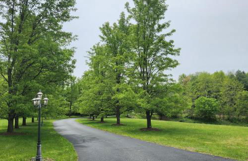 13-Acre Private Estate, Private Lake, Private Golf Range, Private Forest & Hiking Trails - Foto 69