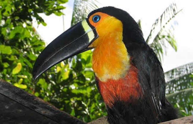 Tour por la ensenada del Amorim - Foto 3