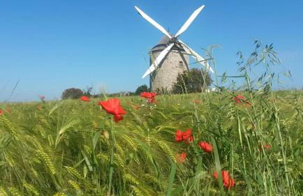 La Greve Saint Michel - Foto 31