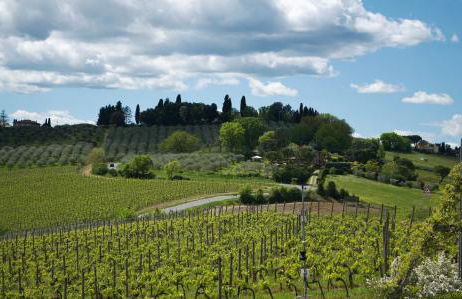 Villa Il Castagno Wine & Resort - Photo 42