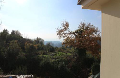 Villa Elea in Milies Pelion - Foto 13