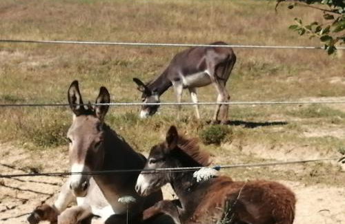 Casa Ambrogi Stefano - Photo 62