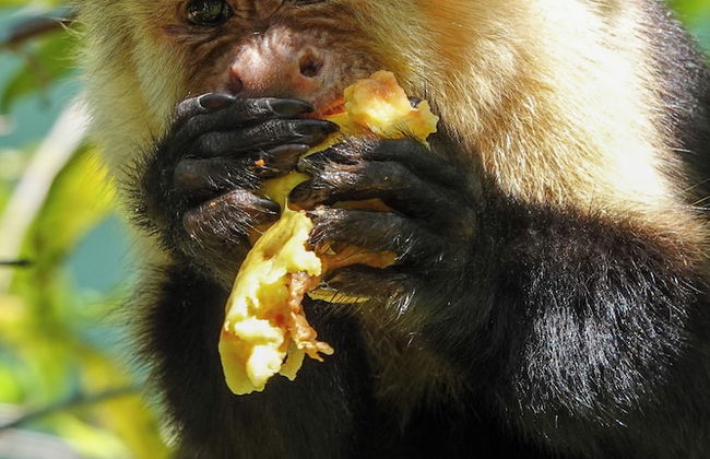 Maze Lodge - Photo 42