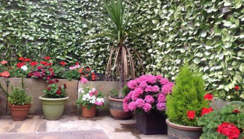 Silvergrove Apartment in E Sussex - Foto 5