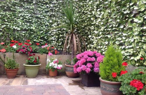 Silvergrove Apartment in E Sussex - Foto 5