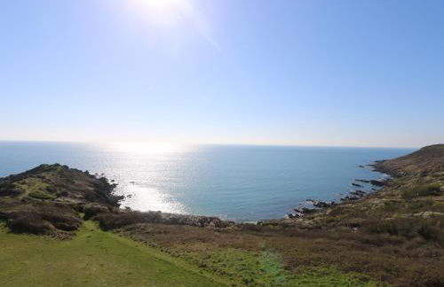 Gannet Watch - Foto 29