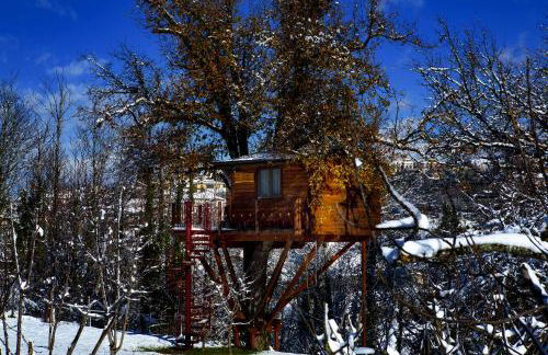 Casa sull'albero Bocchineri - Photo 44