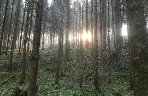 Charmante Ferienwohnung in Mastershausen/Hunsrück - Foto 16