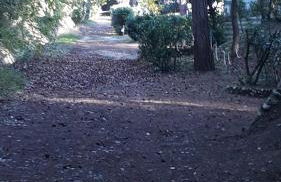 RESIDENCE MARCO POLO - Foto 14